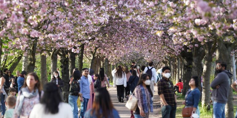 Mit dem Frühling wird die Omikron-Welle wahrscheinlich auslaufen. Das Coronavirus ist damit aber nicht für immer verschwunden.
