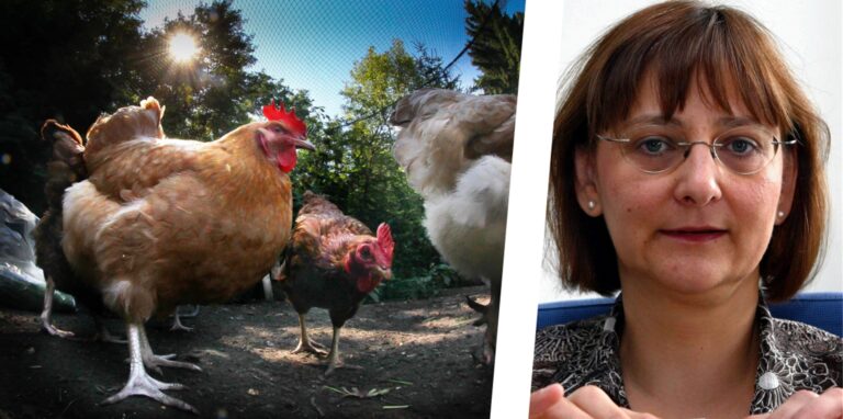Heike Tasillo vom Dortmunder Ordnungsamt berichtete im Bürgerdienste-Ausschuss über die Lage der Vogelgrippe in der Stadt.