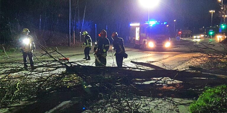 Die Straße Über den Knöchel ist wegen eines umgestürzten Baums am Freitagabend (18.2.) gesperrt. Die Feuerwehr räumt das Gehölz von der Fahrbahn.