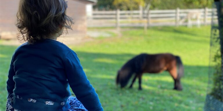Emily am Circus Travados im Kurpark: Was Tiere sind, konnten ihr ihre Eltern und Großeltern noch ziemlich einfach zeigen. Aber Kontakte mit Gleichaltrigen blieben ihr lange verwehrt.