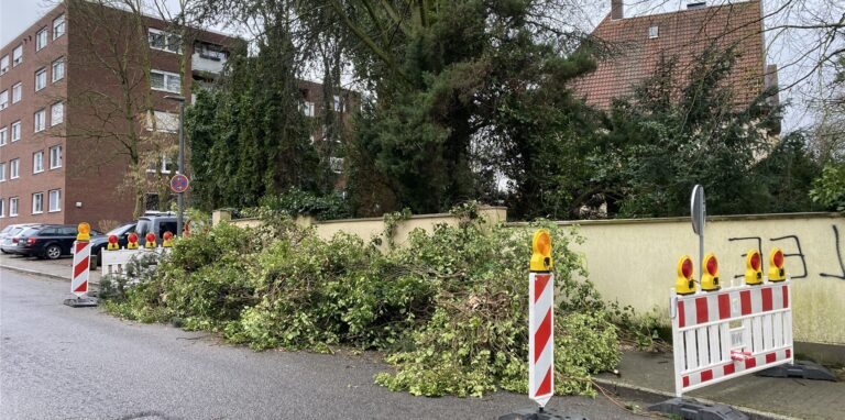 An der Glückaufstraße hat eines der Sturmtiefs der vergangenen Tage offenbar einen Baum beschädigt.