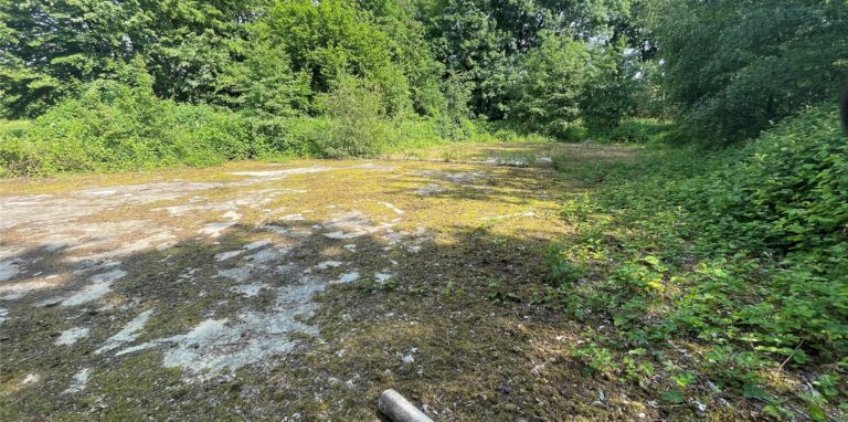 Bevor der frühere Rollschuhplatz auf dem Paschenberg zur Hundewiese werden kann, müsste er für viel Geld vom Beton befreit werden.