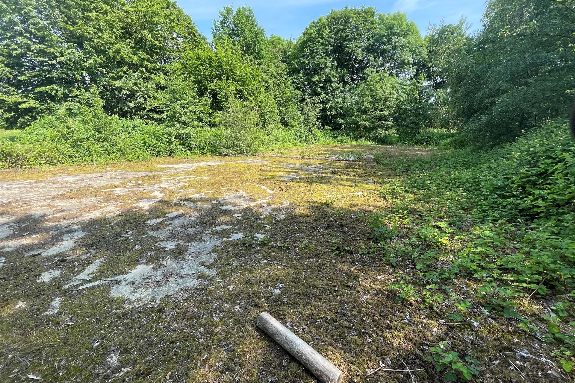 Bevor der frühere Rollschuhplatz auf dem Paschenberg zur Hundewiese werden kann, müsste er für viel Geld vom Beton befreit werden.