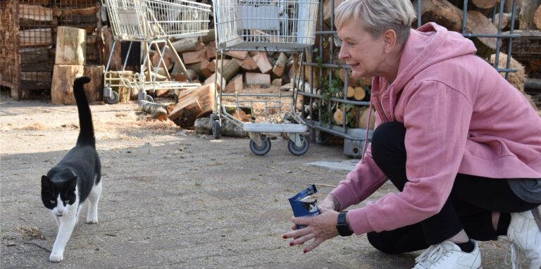 Conny Sander Streunerkatzenprojekt.