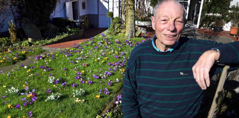 An die 1000 Krokusse blühen im Garten von Wilfried Schulte.