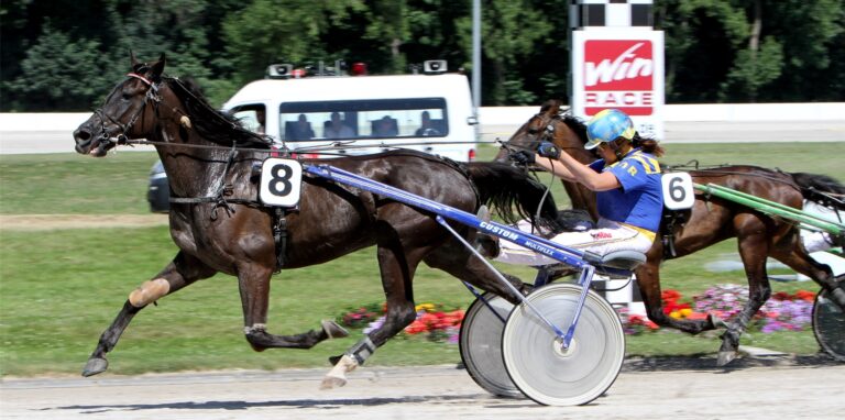 Olga Bondar fährt hier mit „Sir Herten“ (Nr. 8) in Gelsenkirchen den Sieg ein.
