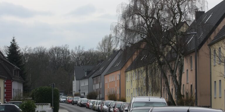 In zwei Wohnungen in zwei Häusern an der Damaschkestraße wurde eine Frau festgehalten und zur Prostitution gezwungen. Am Freitag durchsuchte die Polizei die Wohnungen. Eine Mieterin wurde festgenommen.