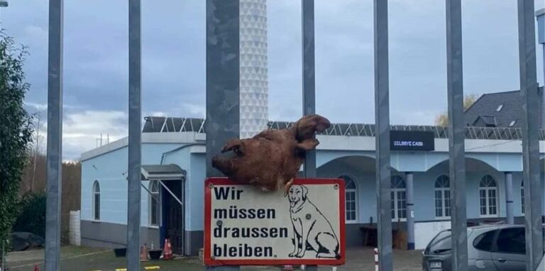 Dieser Schweinekopf sorgte am Sonntag für Aufregung in der Ditib Selimiye Moschee.