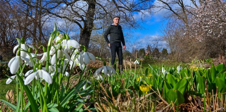 Wie lassen sich Pflanzen im Garten am besten vor dem Frost schützen?