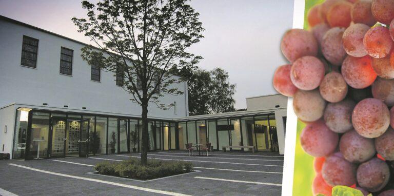 Das Gebäude der evangelischen Dreifaltigkeitskirche Waltrop ist im Abendlicht zu sehen, seitlich ist eine Weintrauben-Traube ins Bild montiert.