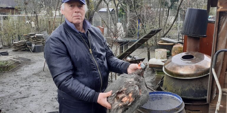 Richard Wohlert hält eins seiner toten Perlhühner in Händen. Das Tier hat offene Wunden am Rücken.