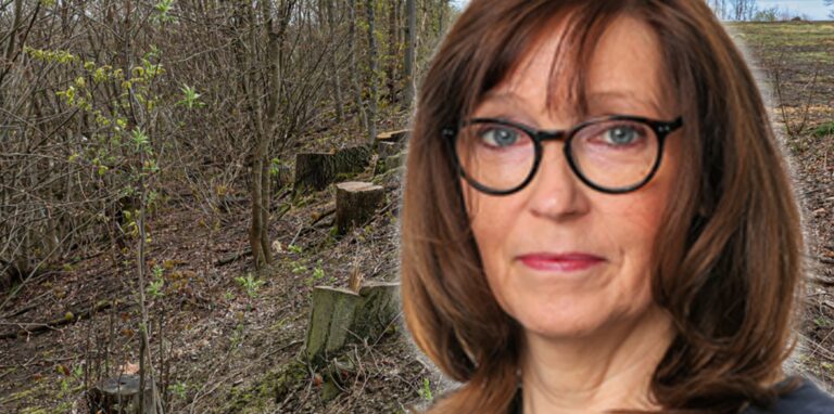 Die Stadt Dortmund sollte den gesetzlichen Bußgeldrahmen für die illegale Abholzung voll ausschöpfen, meint Gaby Kolle.