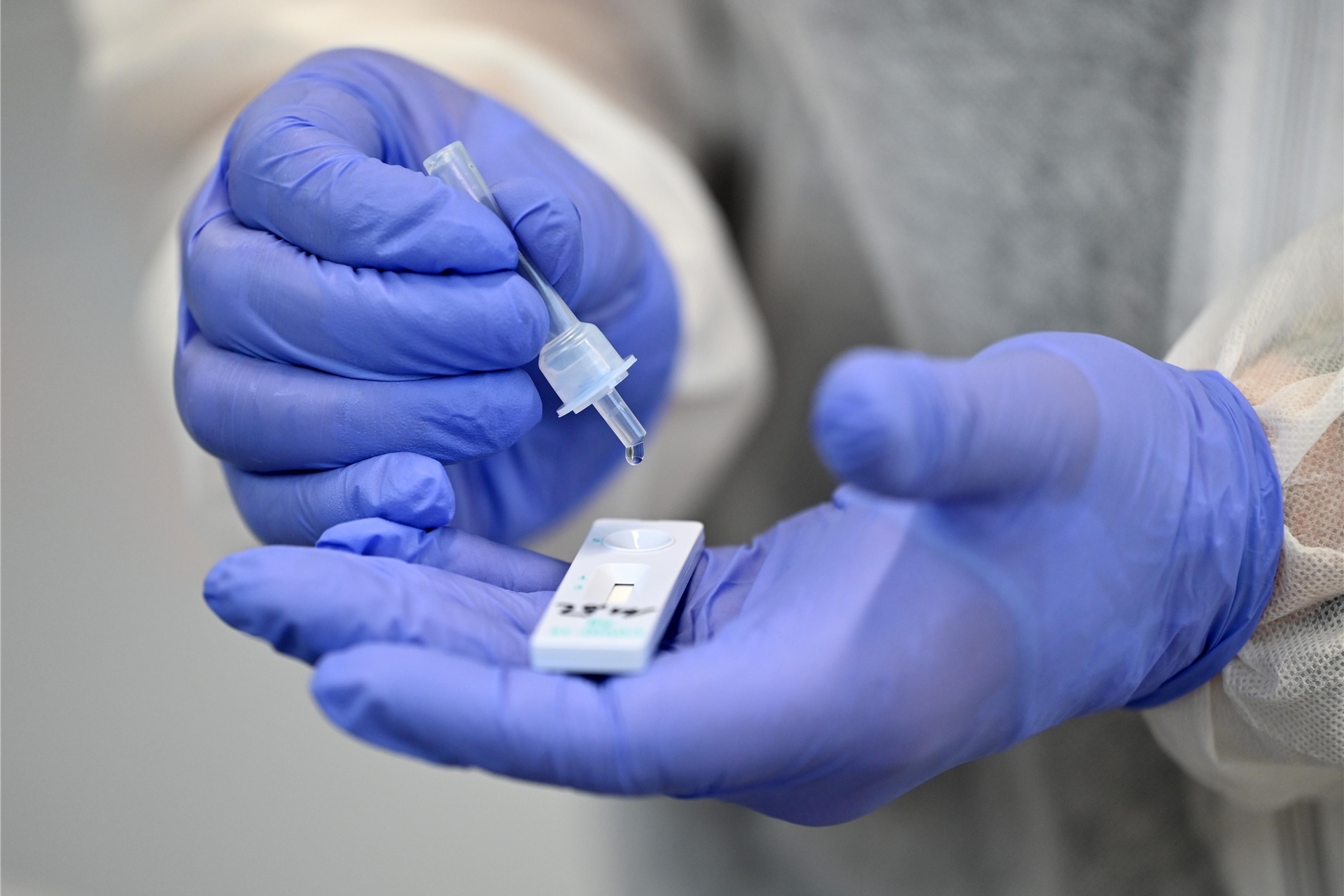 Zwei Hände, die in blauen Schutzhandschuhen stecken, halten einen Coronatest.
