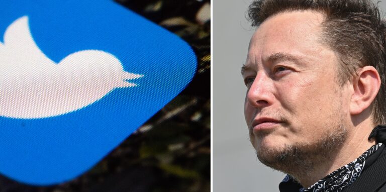 Die Bildkombo zeigt das Logo von Twitter (l) am 26.04.2017 auf einem Mobiltelefon und den Tesla-Chef Elon Musk am 13.08.2021 bei einem Pressetermin auf dem Gelände der Tesla Gigafactory.