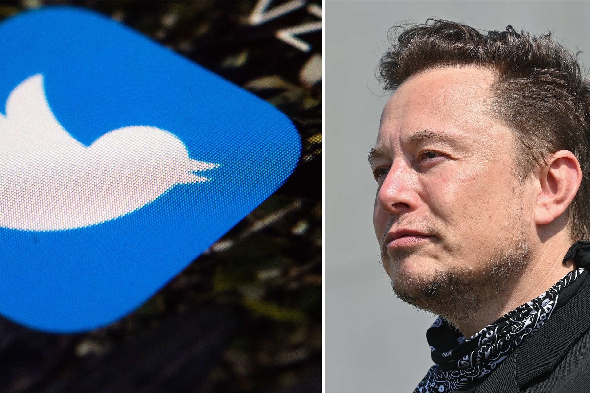 Die Bildkombo zeigt das Logo von Twitter (l) am 26.04.2017 auf einem Mobiltelefon und den Tesla-Chef Elon Musk am 13.08.2021 bei einem Pressetermin auf dem Gelände der Tesla Gigafactory.