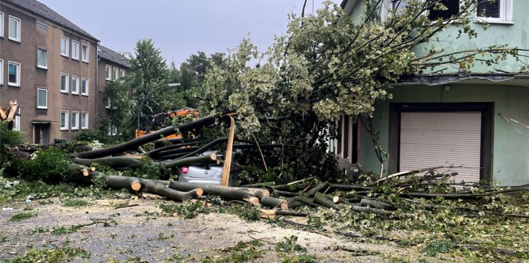 Auf der Straßengabel Kreuzstraße / Grüner Weg in Obercastrop wurden am 14. Juli durch den Tornado Bäume entwurzelt. Einer stürzte auf einen Kleinwagen, andere auf Häuser.
