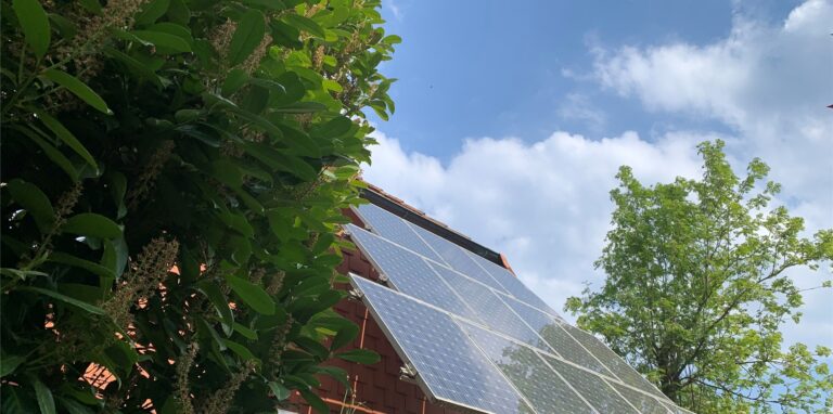 Baum vor einer Dachsolaranlage