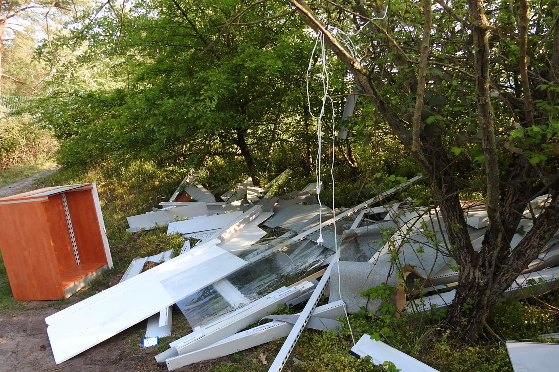 Ein Haufen Sperrmüll liegt am Silbersee II.