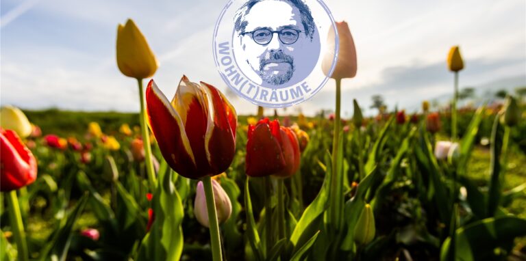 Vom 11. bis 15. Mai sind die Eisheiligen. Die sollen in diesem Jahr aber eher Hitze denn Frost bringen. Wichtig für alle Gärtner.