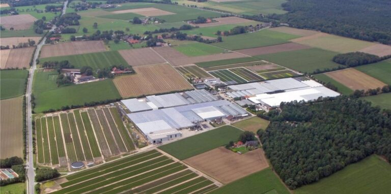 Rüster Feld von oben