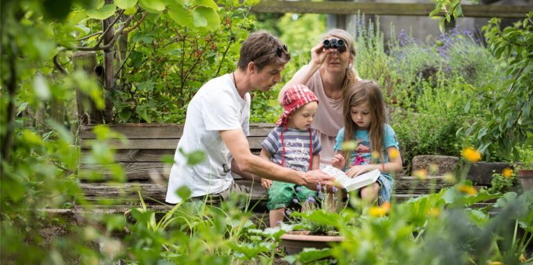 Eine Familie mit Vater, Mutter und zwei kleinen Kindern sitzt in der Natur auf einer Bank und beobachten Vögel.