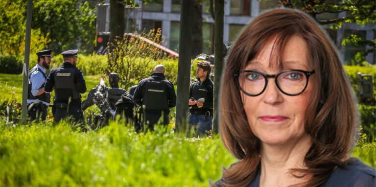 Ein testweiser privater Sicherheitsdienst im Dortmunder Stadtgarten reicht nicht, meint Redakteurin Gaby Kolle.