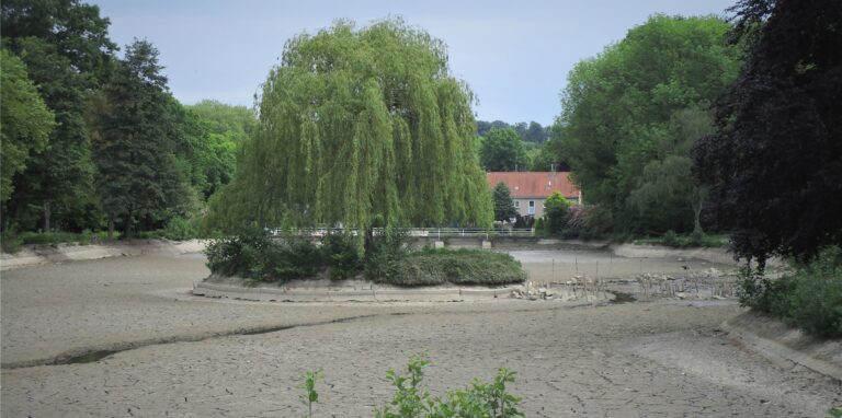 Der Gondelteich im Castroper Stadtgarten führt jetzt gar kein Wasser mehr. Der Schlamm am Boden ist rissig und sieht wie ausgetrocknet aus.