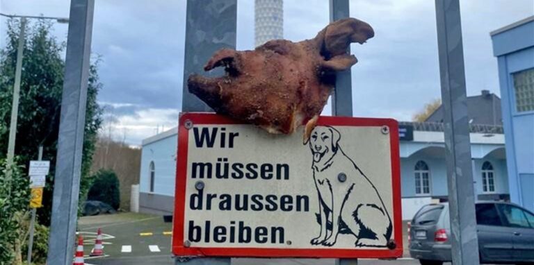 Dieser halbierte Schweinkopf  wurde am 5. Dezember am Zaun der Selimiye-Moschee in Eving aufgehängt. Davor gab es Drohbriefe.