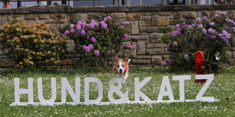 Nach drei Jahren gibt es vom 27. bis 29. Mai 2022 in den Dortmunder Westfalenhallen wieder die Messe „Hund & Katz“. Erwartet werden rund 7500 Hunde und 500 Katzen.
