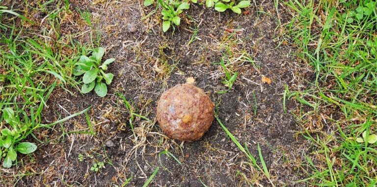 Diese Metallkugel wurde bei Gartenarbeiten am Selmshof in Herten-Süd entdeckt.