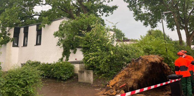 Ein umgestürzter Baum an der Straße „Am Gecksbach“
