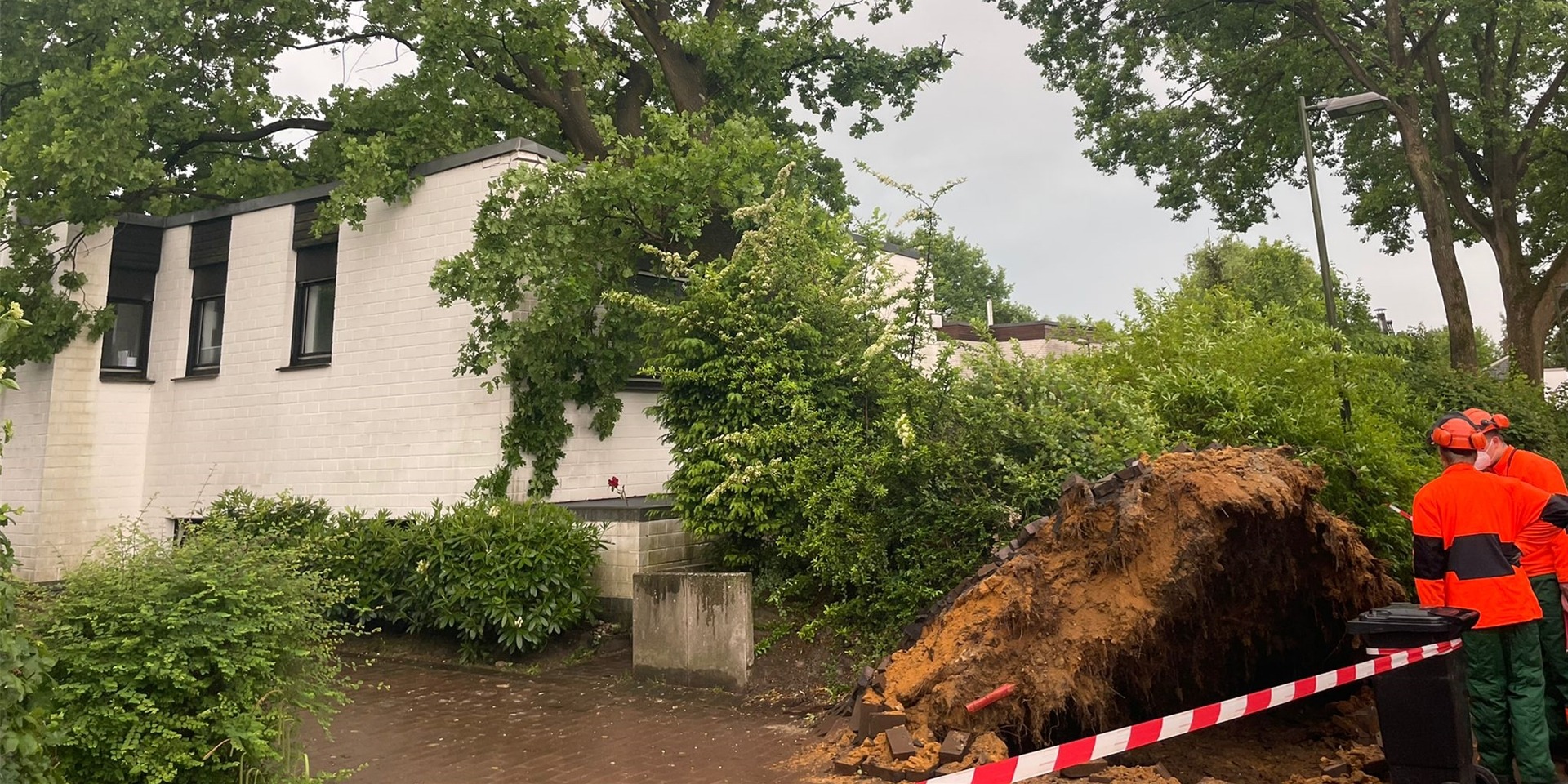Ein umgestürzter Baum an der Straße „Am Gecksbach“