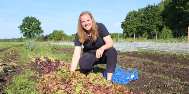 Eine Frau kniet vor einer Reihe von Salatköpfen, neben ihr ein blauer Plastikkorb.