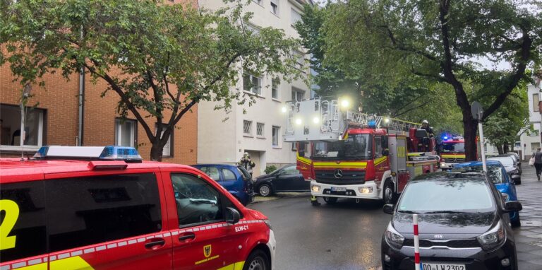 An der Moltkestraße war die Feuerwehr im Einsatz, weil ein Blitz in ein Haus eingeschlagen war.