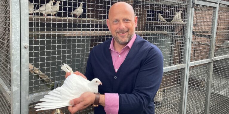 Uwe Stoffel hält vor seinem Taubenschlag eine weiße Taube in der Hand.