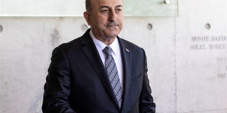Der türkische Außenminister Mevlüt Cavusoglu hält eine Rede.