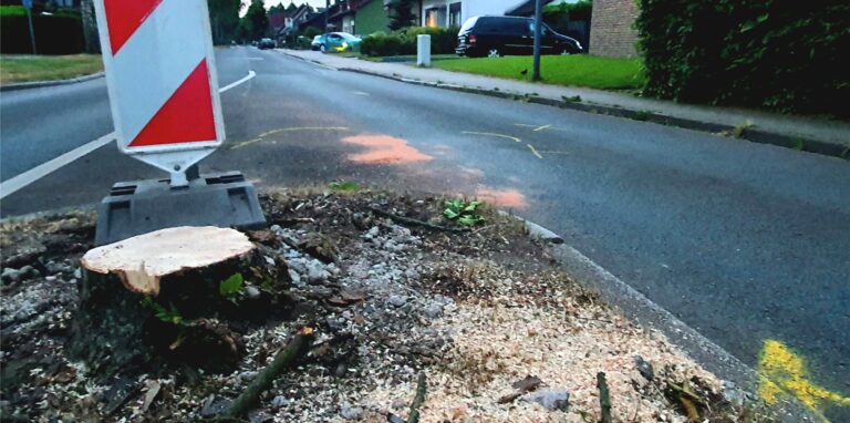 Bei dem Unfall auf der Polsumer Straße wurde ein Baum so stark beschädigt, dass der Rest abgesägt werden mu