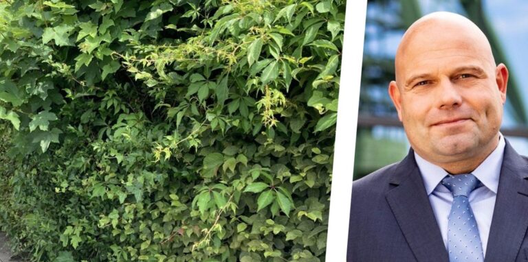 Der städtische Ordnungsdezernent Dr. Oliver Lind äußert sich zur Auseinandersetzung wegen einer wuchernden Hecke.