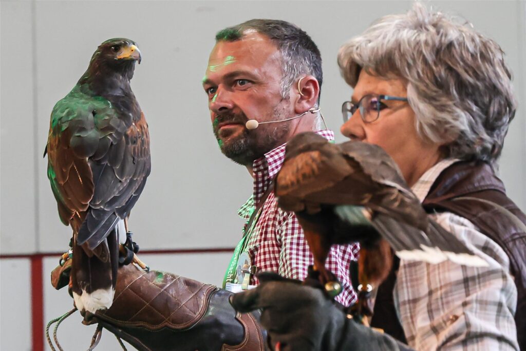 Auch Greifvögel waren bei der Messe Jagd & Hund zu sehen, die am Sonntag (12.6.) in den Westfalenhallen zu Ende ging