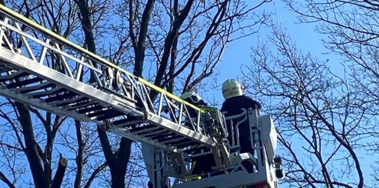 Die Feuerwehr Herten war in Bertlich mit der Drehleiter im Einsatz.