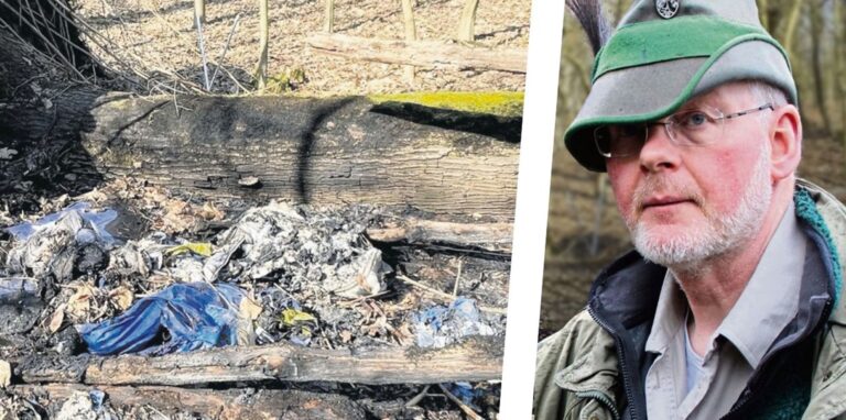 Am 12. März gab es im Hertener Schlosswald den rätselhaften Fund eines abgebrannten Zeltlagers. Laut Revierförster Matthias Klar drohen bei anhaltender Trockenheit in der warmen Jahreszeit aber noch weitere Brandherde.