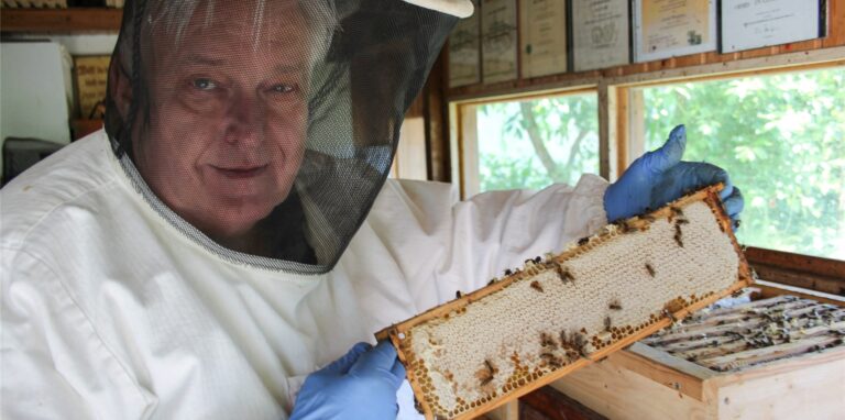 Imker Arnold Berghaus mit einer Wabe voller Honig in seinem Bienenstand.