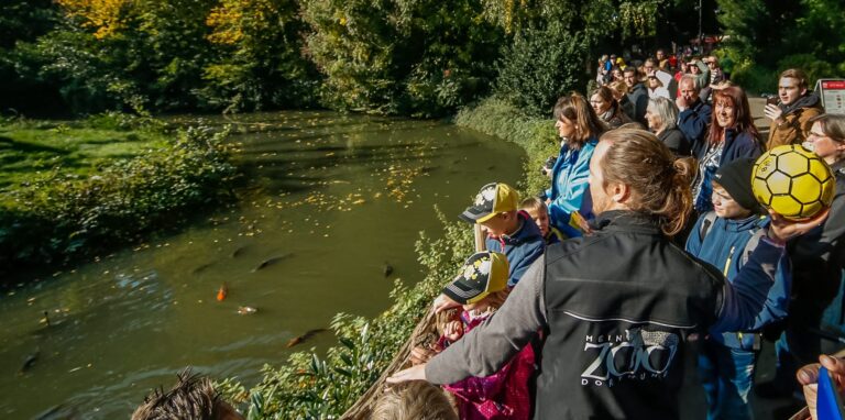 Im Dortmunder Zoo gibt es für Kinder und Jugendliche einiges zu entdecken.