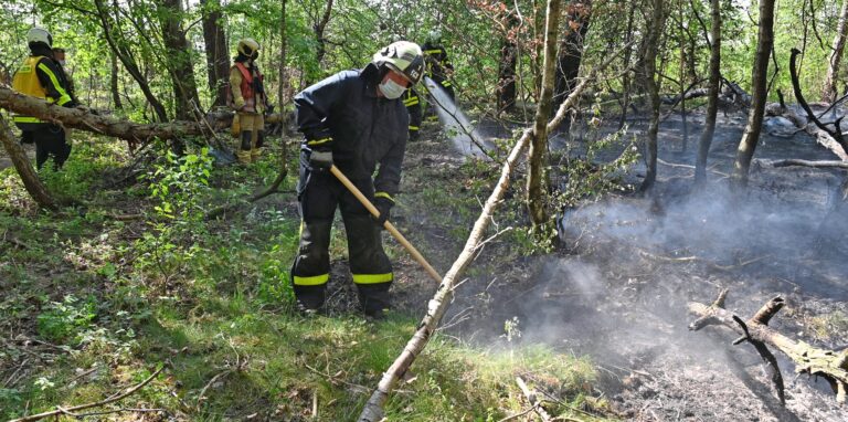 Im April vergangenen Jahres musste die Feuerwehr einen Waldbrand in der Sandgrube am Freudenberg löschen.