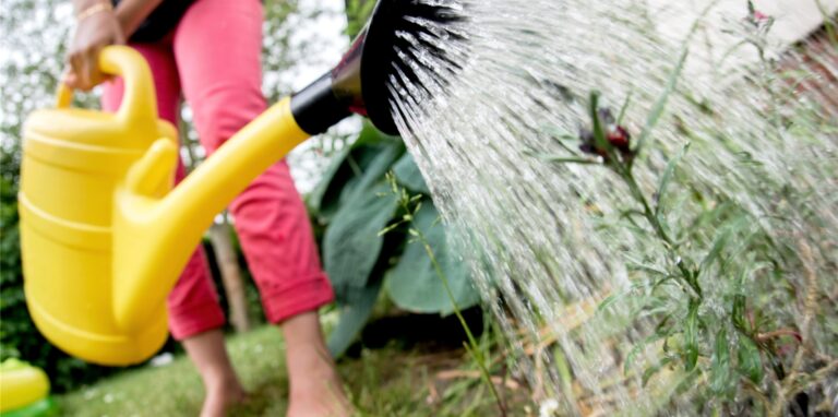 Eine Frau gießt die Blumen in einem Garten mit einer Gießkanne. Wie wirkt sich die anhaltende Trockenheit auf Herten aus?