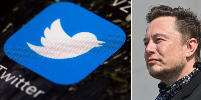 Die Bildkombo zeigt das Logo von Twitter auf einem Mobiltelefon und den Tesla-Chef Elon Musk