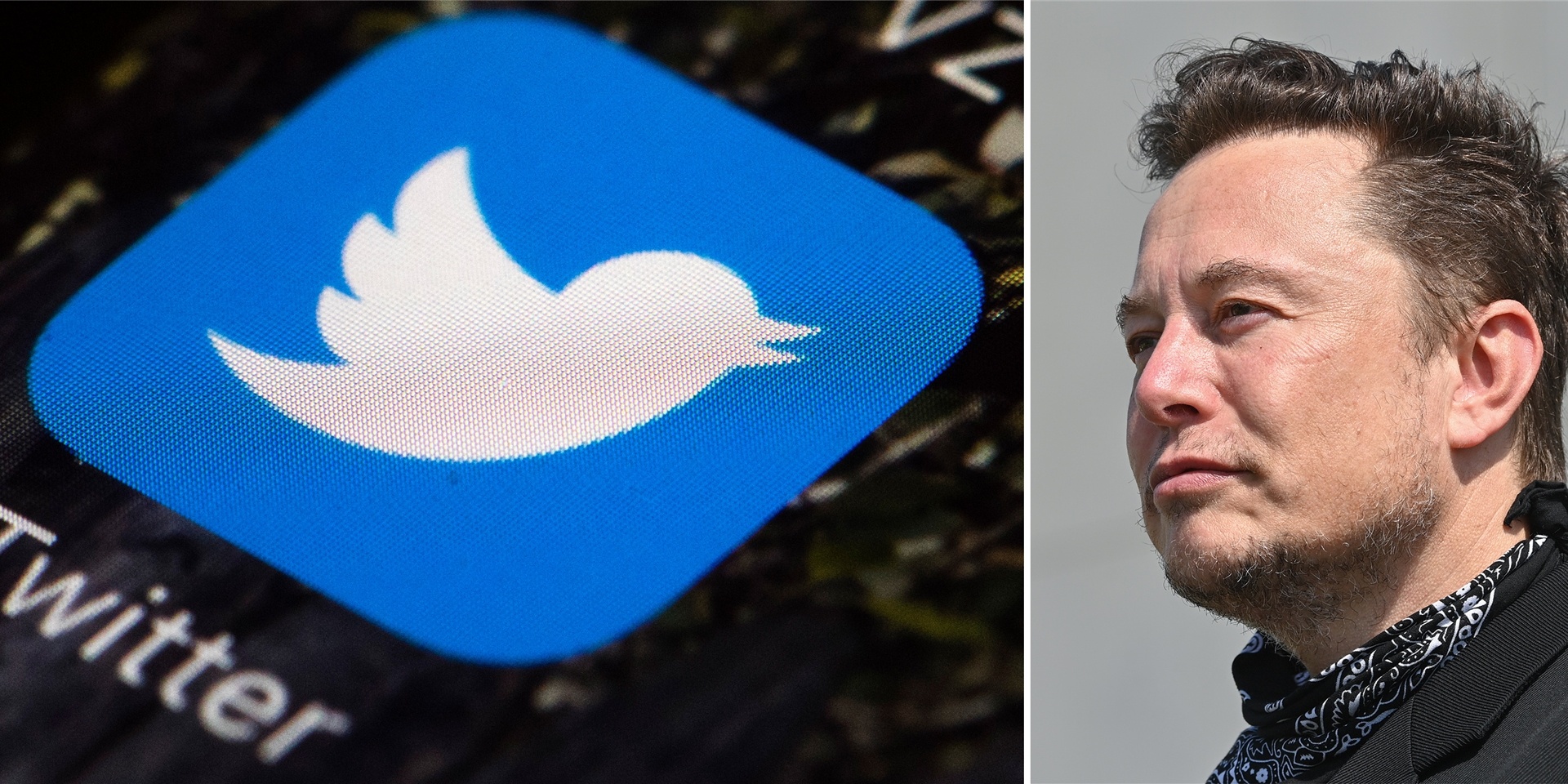 Die Bildkombo zeigt das Logo von Twitter auf einem Mobiltelefon und den Tesla-Chef Elon Musk