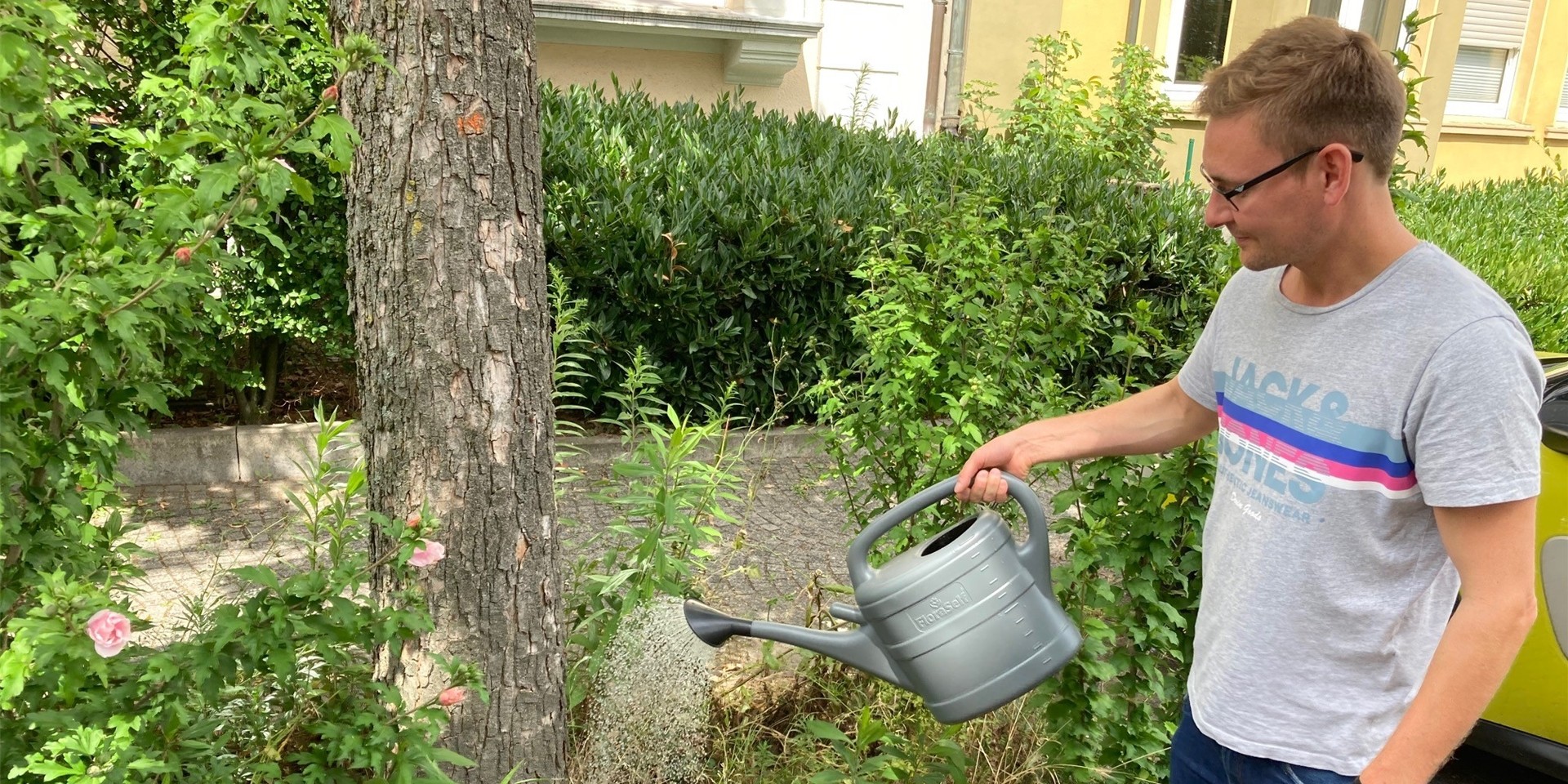 Ein Mann gießt einen Baum in Recklinghausen