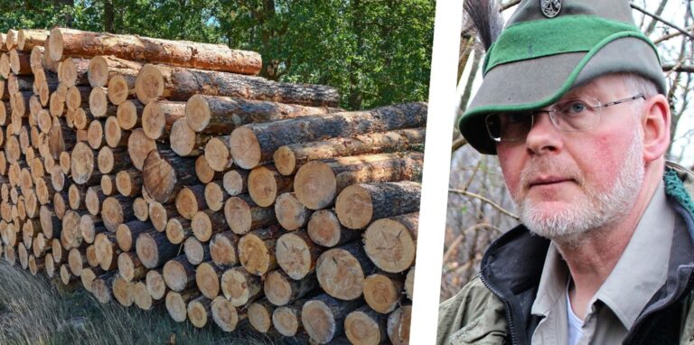 RVR-Revierförster Matthias Klar neben einem Holzstapel im Wald.