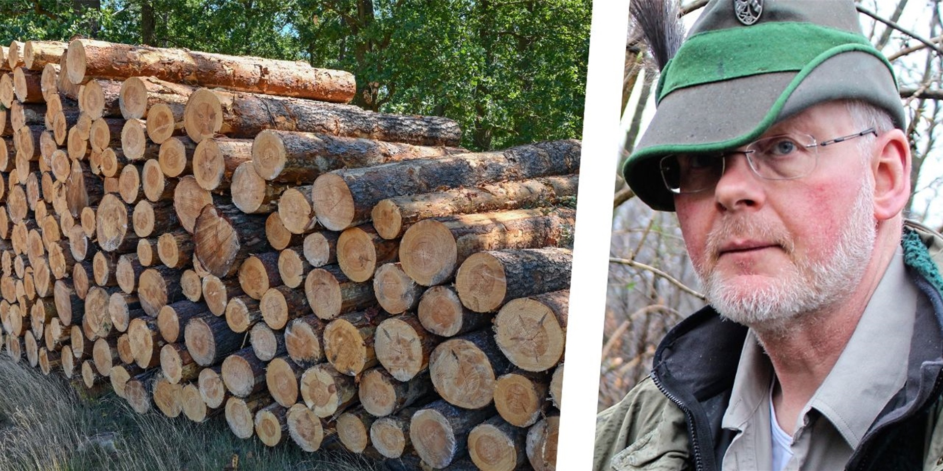 RVR-Revierförster Matthias Klar neben einem Holzstapel im Wald.